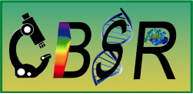 CBSR Logo