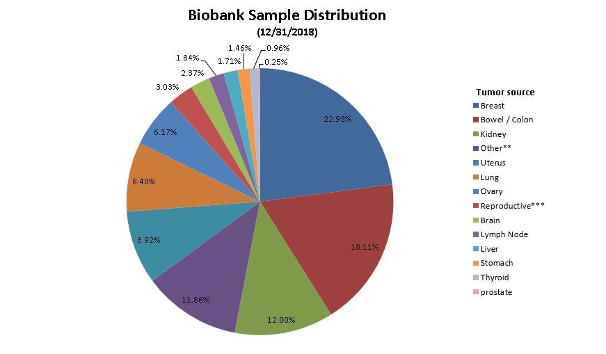 12312018 piechart