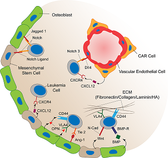 2019-Heath et al-Fig 1