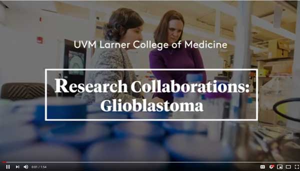 research collaboration video