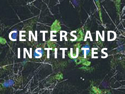 Centers and Institutes