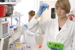 Scientist examines test tube
