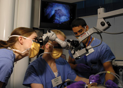 students-with-skull-and-screen