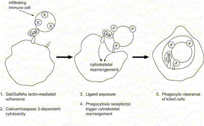 hustonlab1