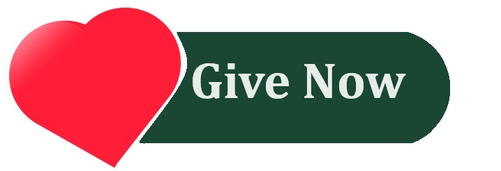 Give Now Button linked to donation page