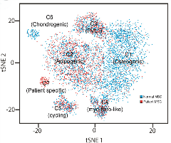 Image for Methods Stein-Lian Lab Page