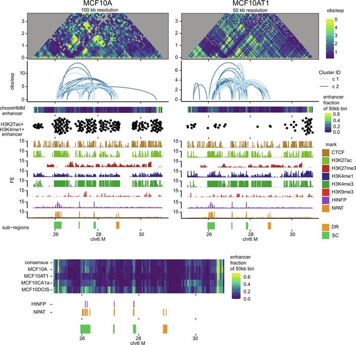 Image for Stein-Lian Research Overview Image for Stein-Lian Research Overview