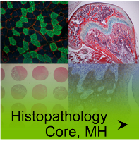 Histopathology Core, MH