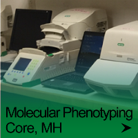 Molecular Phenotyping Core, MH