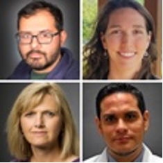Pictured at left, clockwise from top left: Drs. Majumdar, Reagan, Adrianzen and Dittus. Pictured at left, clockwise from top left: Drs. Majumdar, Reagan, Adrianzen and Dittus.