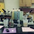 ProjectMICRO10