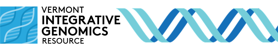 VIGR Logo and DNA Strand
